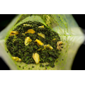 Zmes My Baits Hemp-Buckwheat Mix "Green Lipped Monster"3l