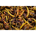 Zmes Lariev My Baits Hi-Natural Macromix "Wormageddon" 3l