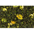 Zmes My Baits Hemp-Buckwheat Mix "Green Lipped Monster"3l